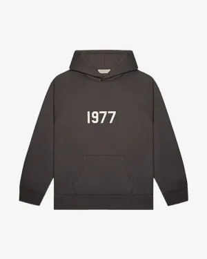 FOG ESSENTIALS SS22 1977 KIDS IRON HOODIE (NEW)